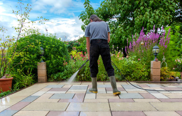 Best Patio and Deck Pressure Washing  in Fris, CO